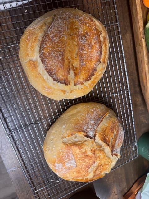 Sourdough boule, plain